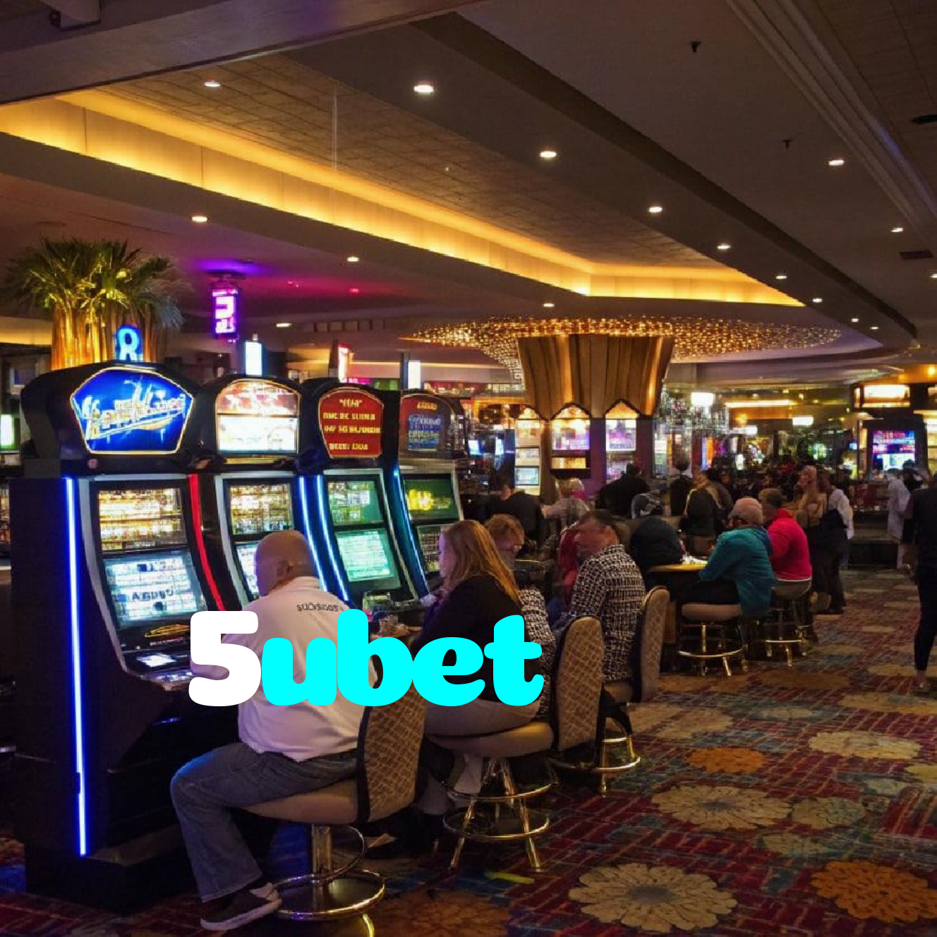 5ubet