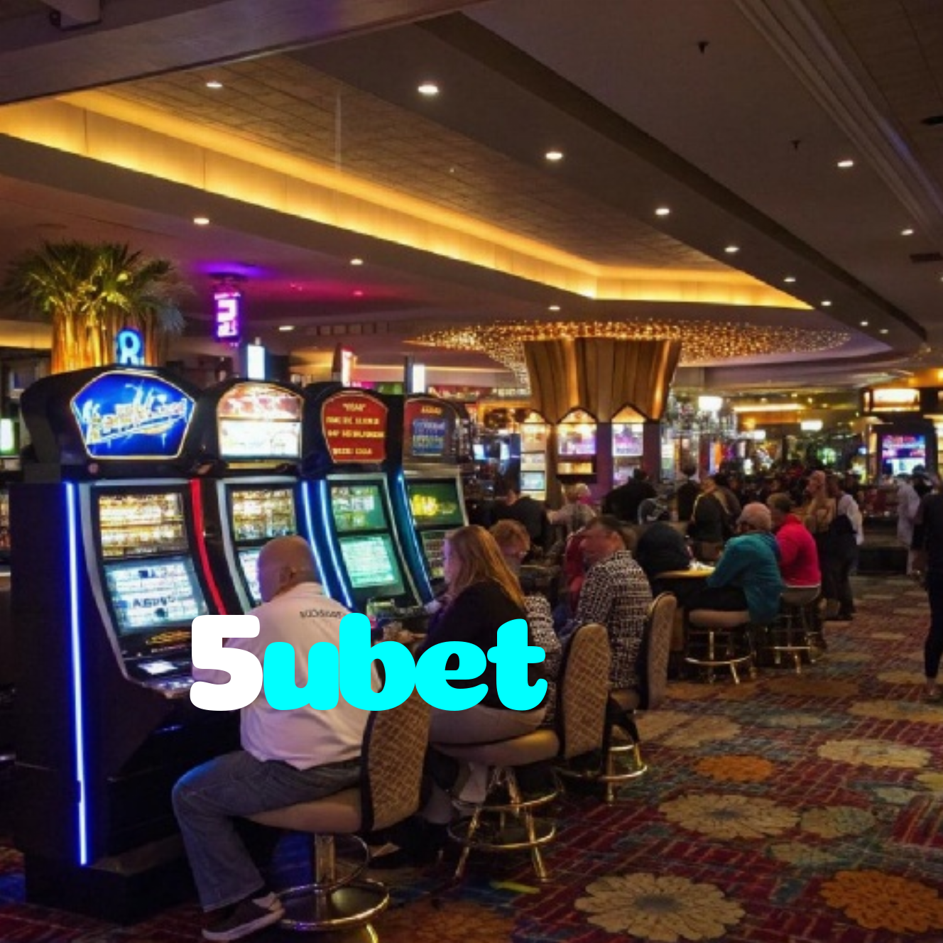 5ubet